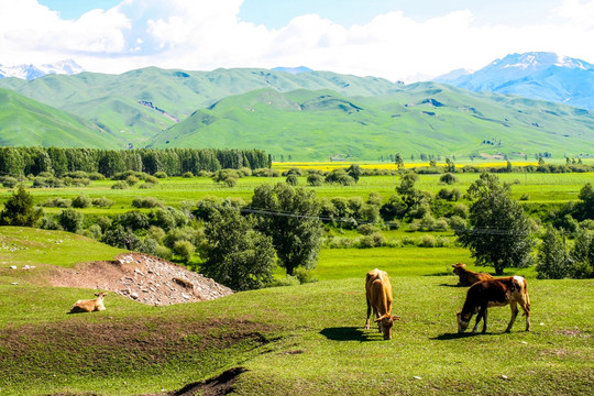 博乐怪石峪风景名胜区