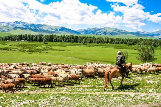 博乐怪石峪风景名胜区