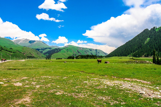 博乐怪石峪风景名胜区