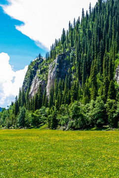 博乐怪石峪风景名胜区