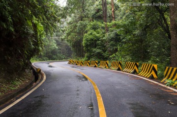 森林公路