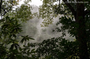 高山云雾