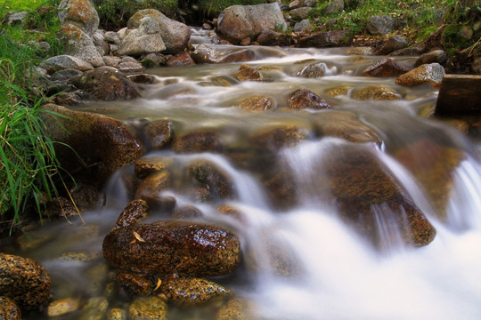 溪流 小溪 河水