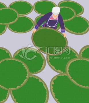 選茶 茶葉