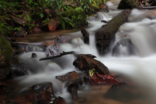 茶山坡溪流