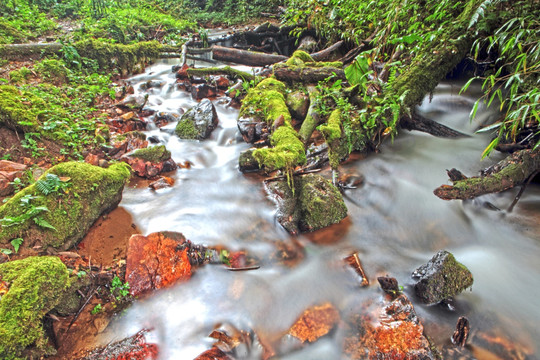 茶山坡溪流