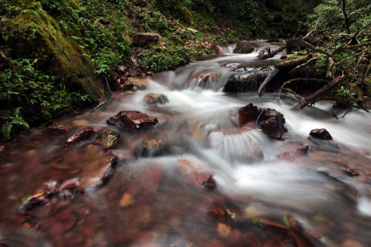 茶山坡溪流