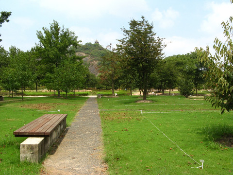 上海辰山植物园