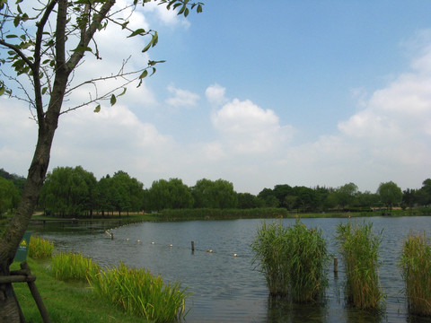 上海辰山植物园