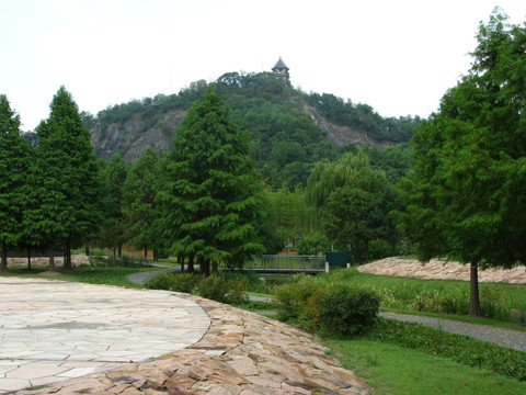 上海辰山植物园