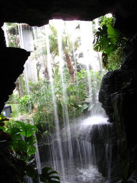 上海辰山植物园