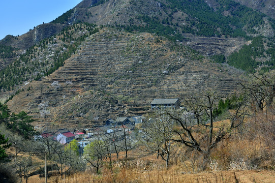 田园风光