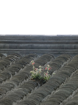 徐州古建筑群户部山屋顶