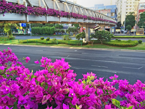 城市街道