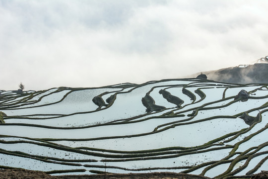 元阳梯田日出