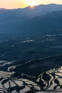 元阳梯田日出