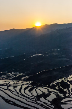 元阳梯田日出