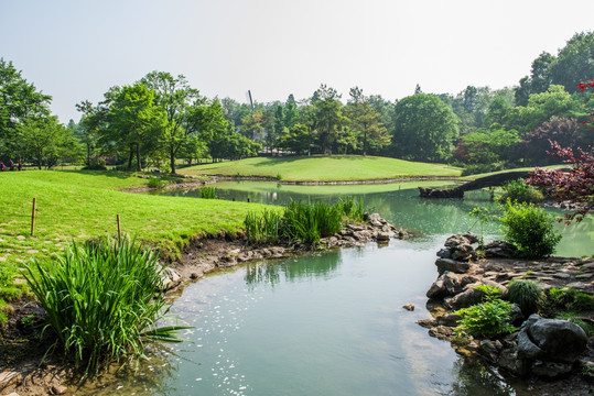 杭州太子湾公园 溪水