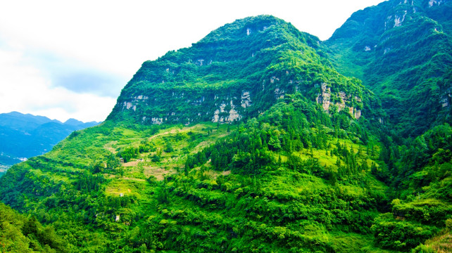 大山 青山 高山