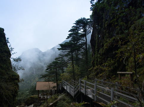 大雾中的轿子山