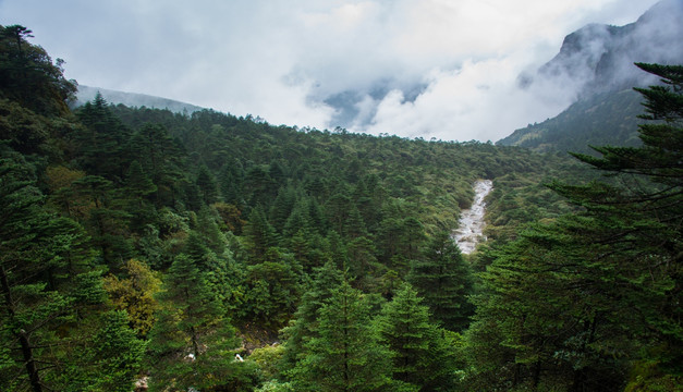 大雾中的轿子山