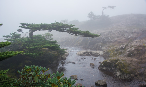 大雾中的轿子山