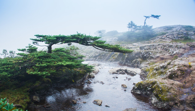 大雾中的轿子山