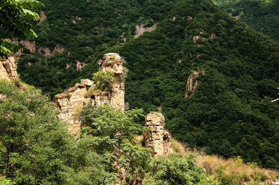 青山 绿树 景区