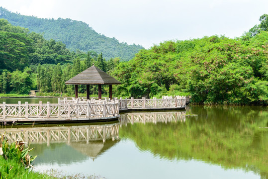 湖心亭木栈道