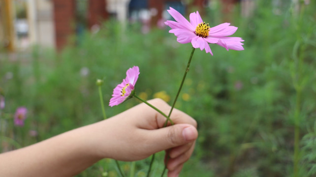 手拿花