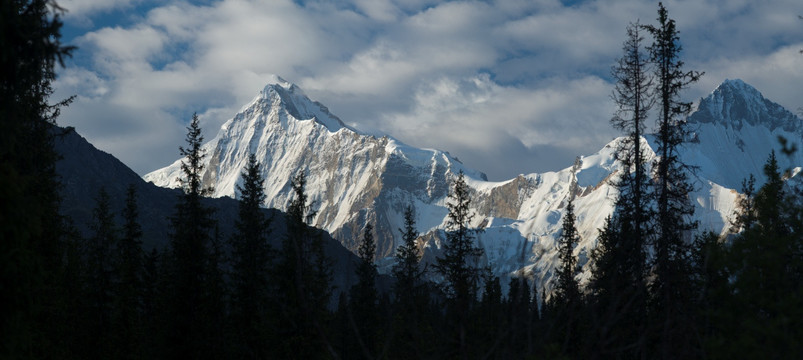 雪峰