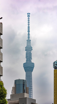 东京晴空塔