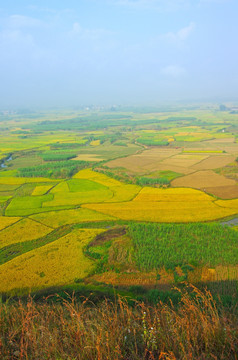 秋天田野