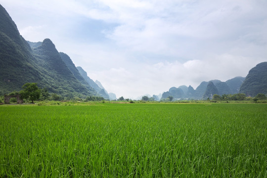 阳朔风景