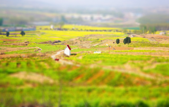 移轴风景 婺源