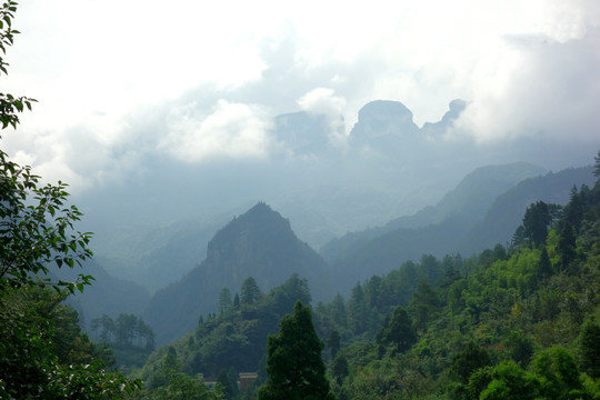 金佛山 云雾