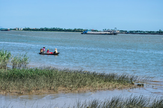 沼泽湿地