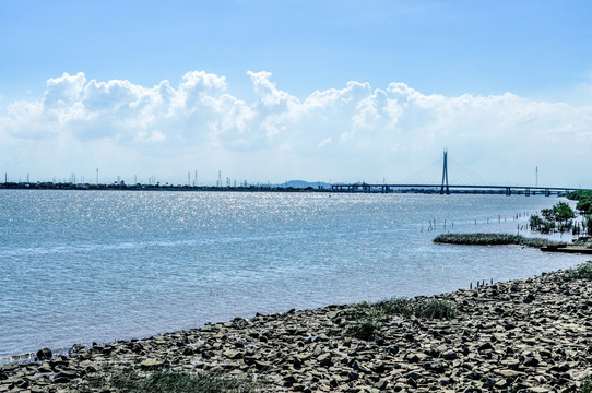 沼泽湿地