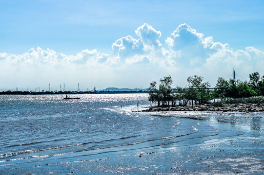 沼泽湿地