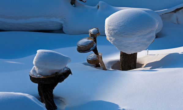 雪乡 院子 小景