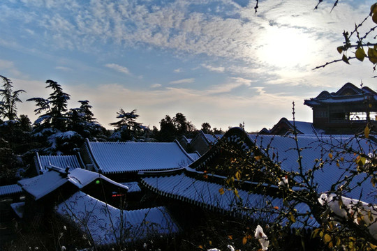 颐和雪景