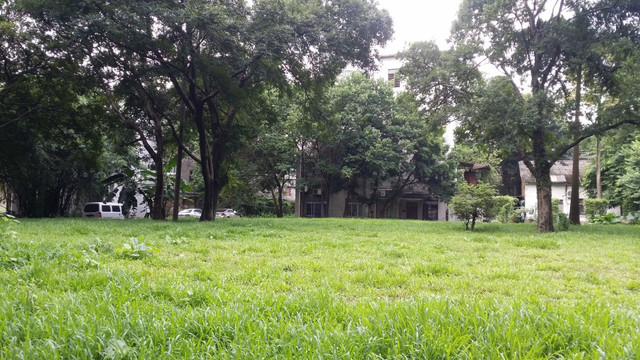 中山大学校园