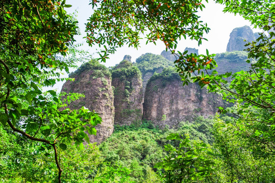 雁荡山