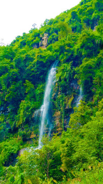 高山流水 山野