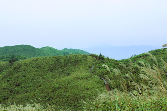 山脉 青山