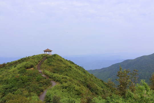 山 大山