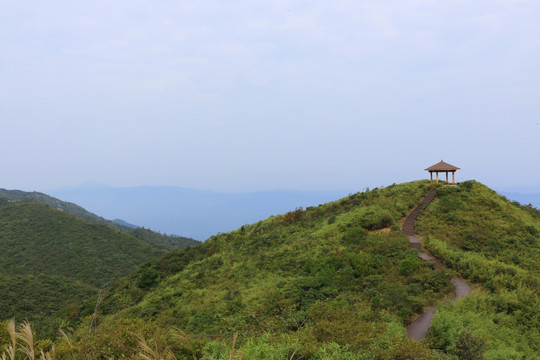 山顶风光