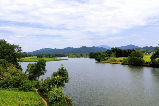 田野 乡村风光