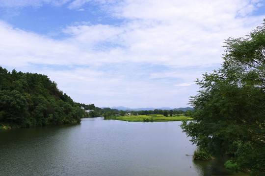 河流 田园风光 金黄稻田