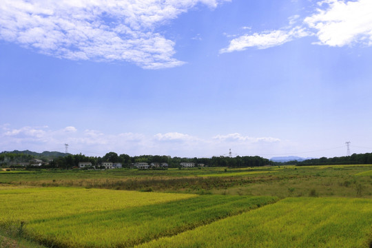 秋天 田园风光